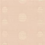TKF11168