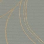 TKF11170
