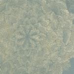 TKF11174