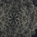 TKF11175