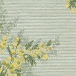 TKF11335