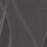TKF11558