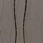 TKF11563