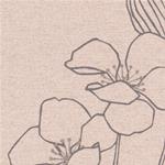 TKF11598