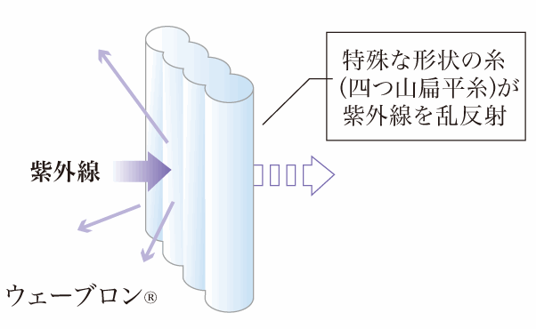 ウェーブロンレースと相乗効果