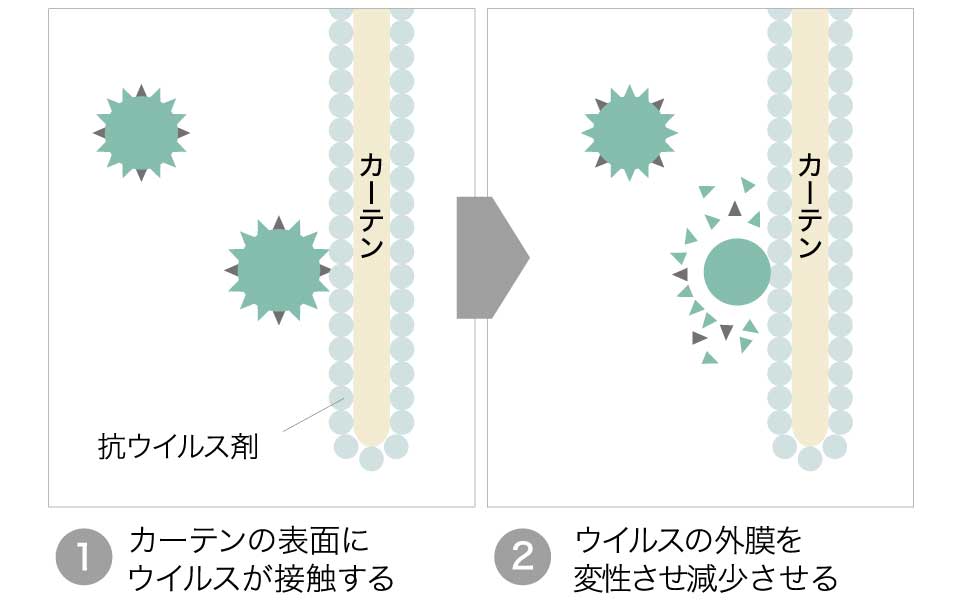 抗ウイルス メカニズム